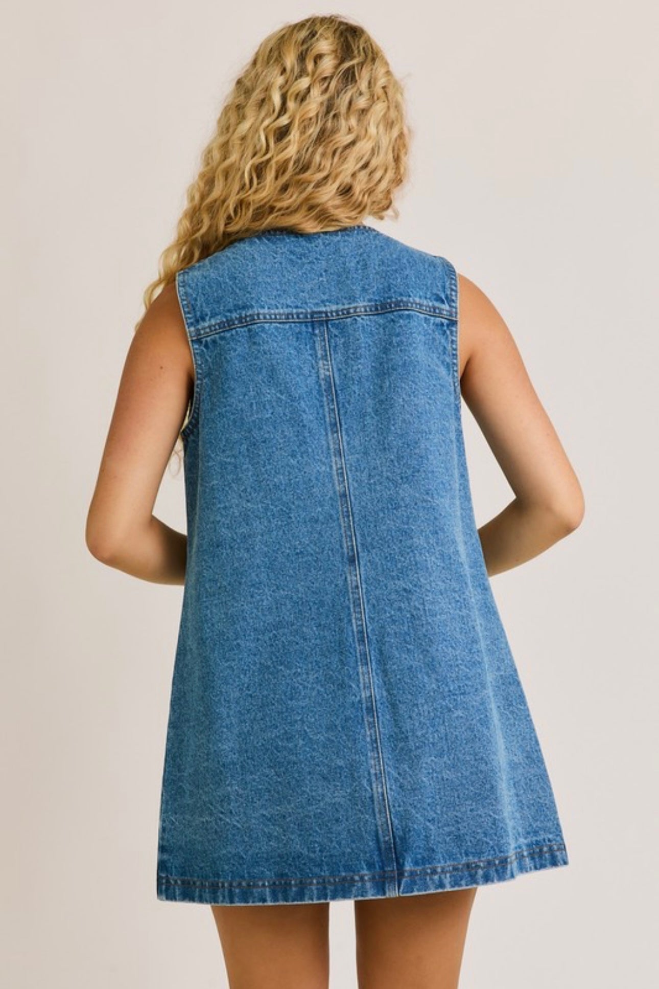 Marie Denim Dress