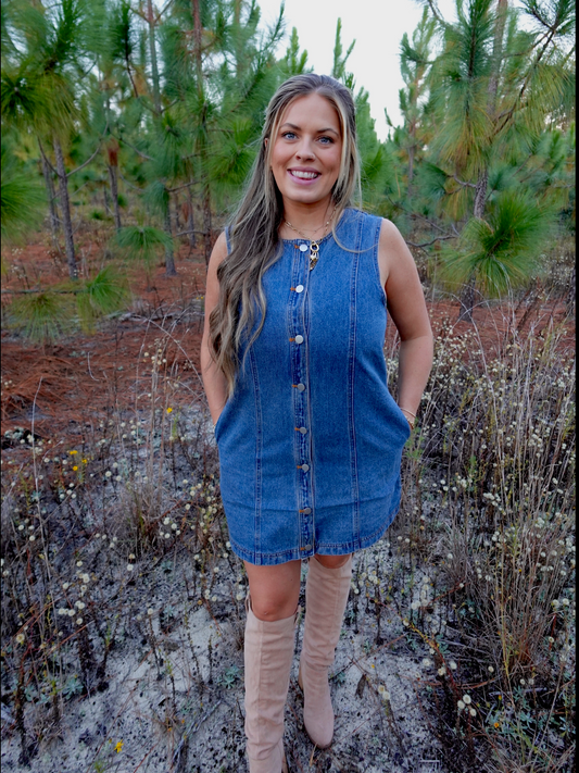 Marie Denim Dress